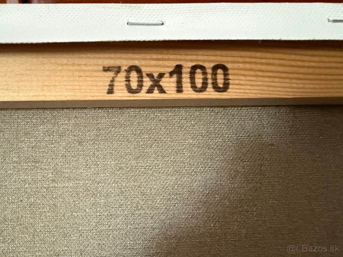 Obraz olej na plátne . - 5