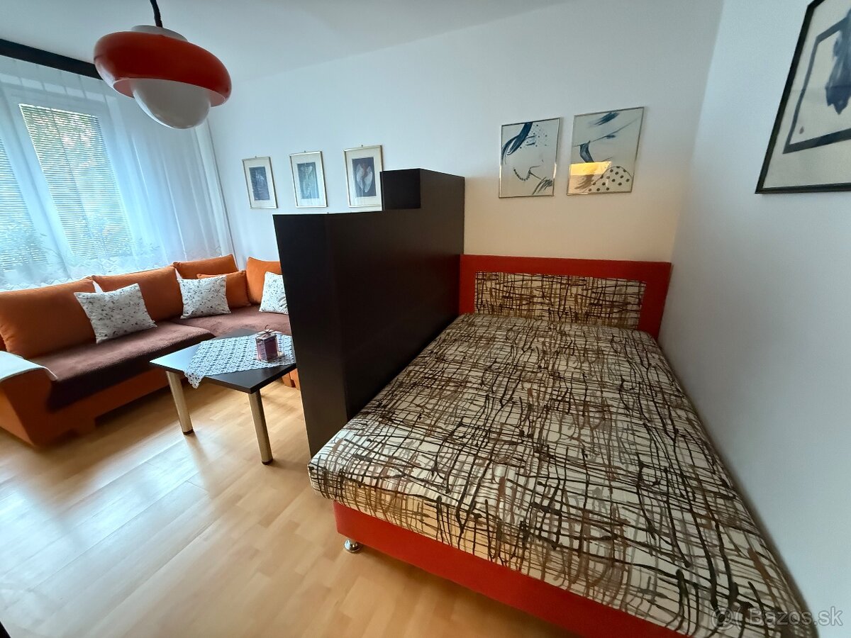 Prenájmem 1-izbový byť v Spišskej Novej Vsi - 5