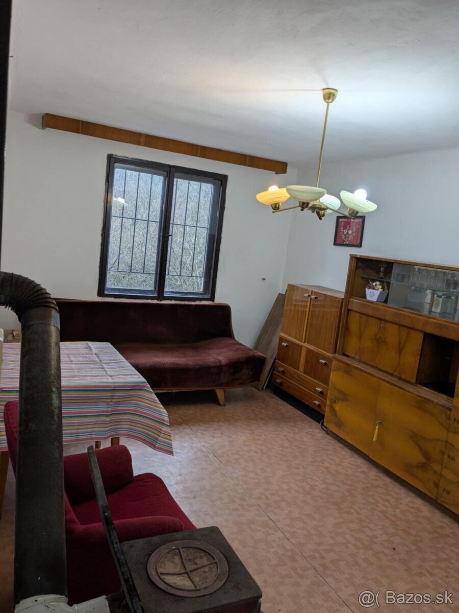 Predám veľký viničný dom - 5