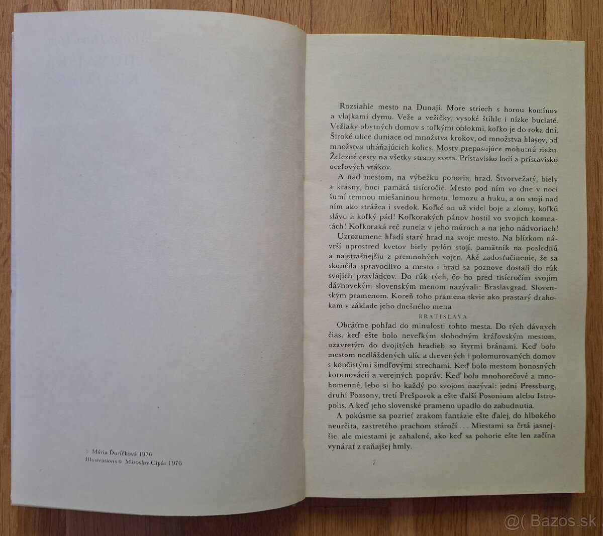 Dunajska kralovna - 5