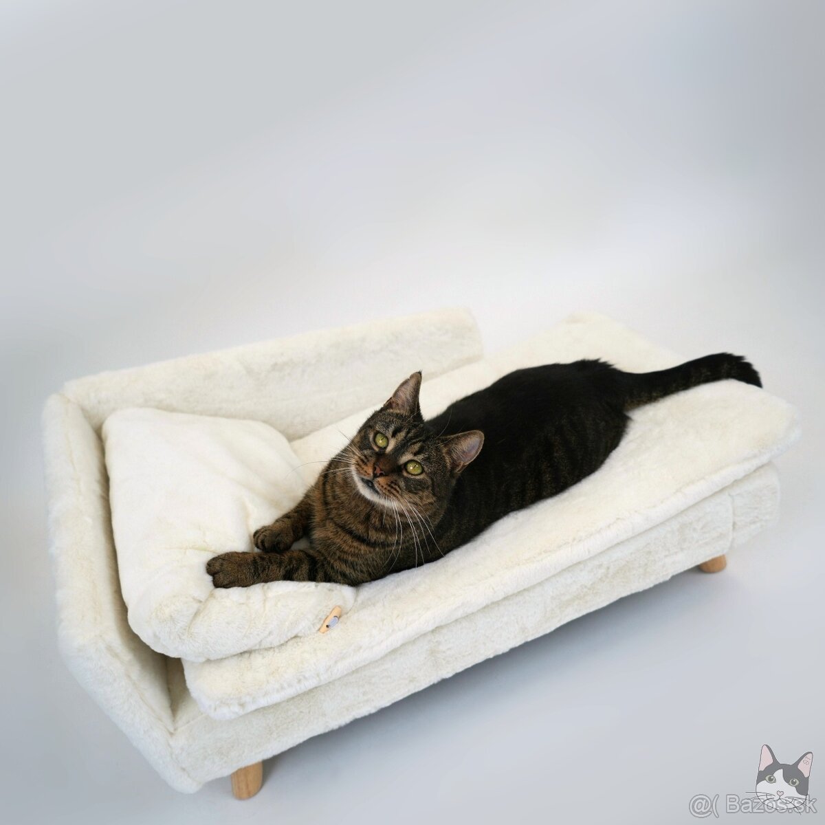 Miniatúrna mačička GINKA hľadá domov - 5