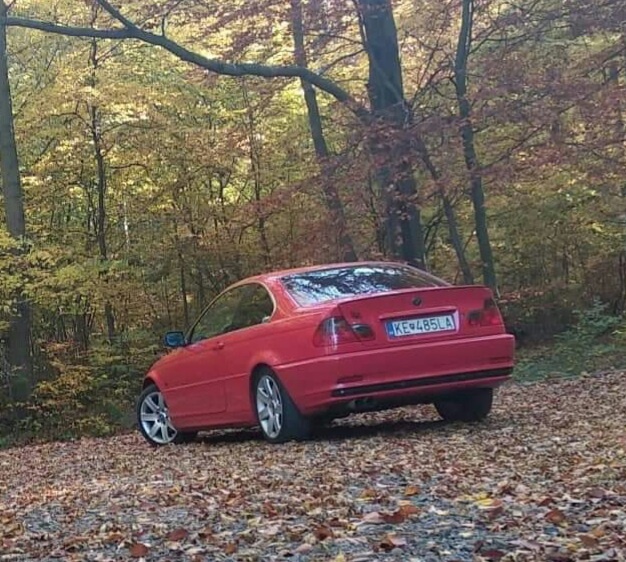 Bmw e46 coupe - 5