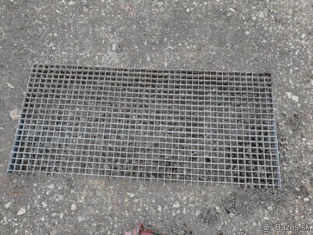 Lesenarske žaby,spojky - 5