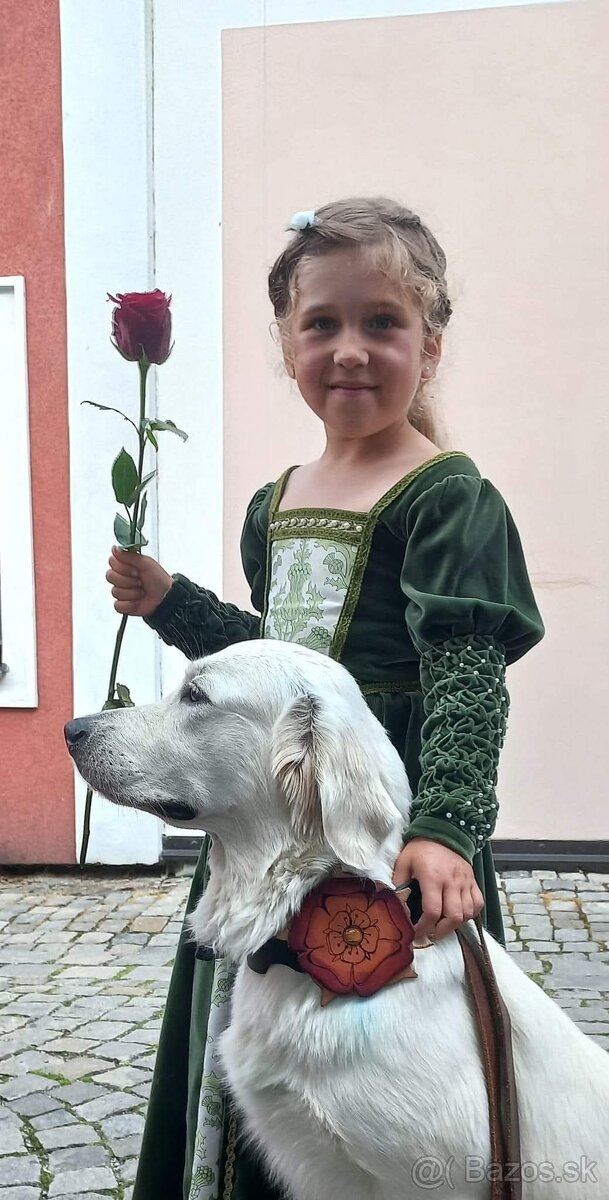 GOLDEN RETRIEVER - k rezervaci - 5