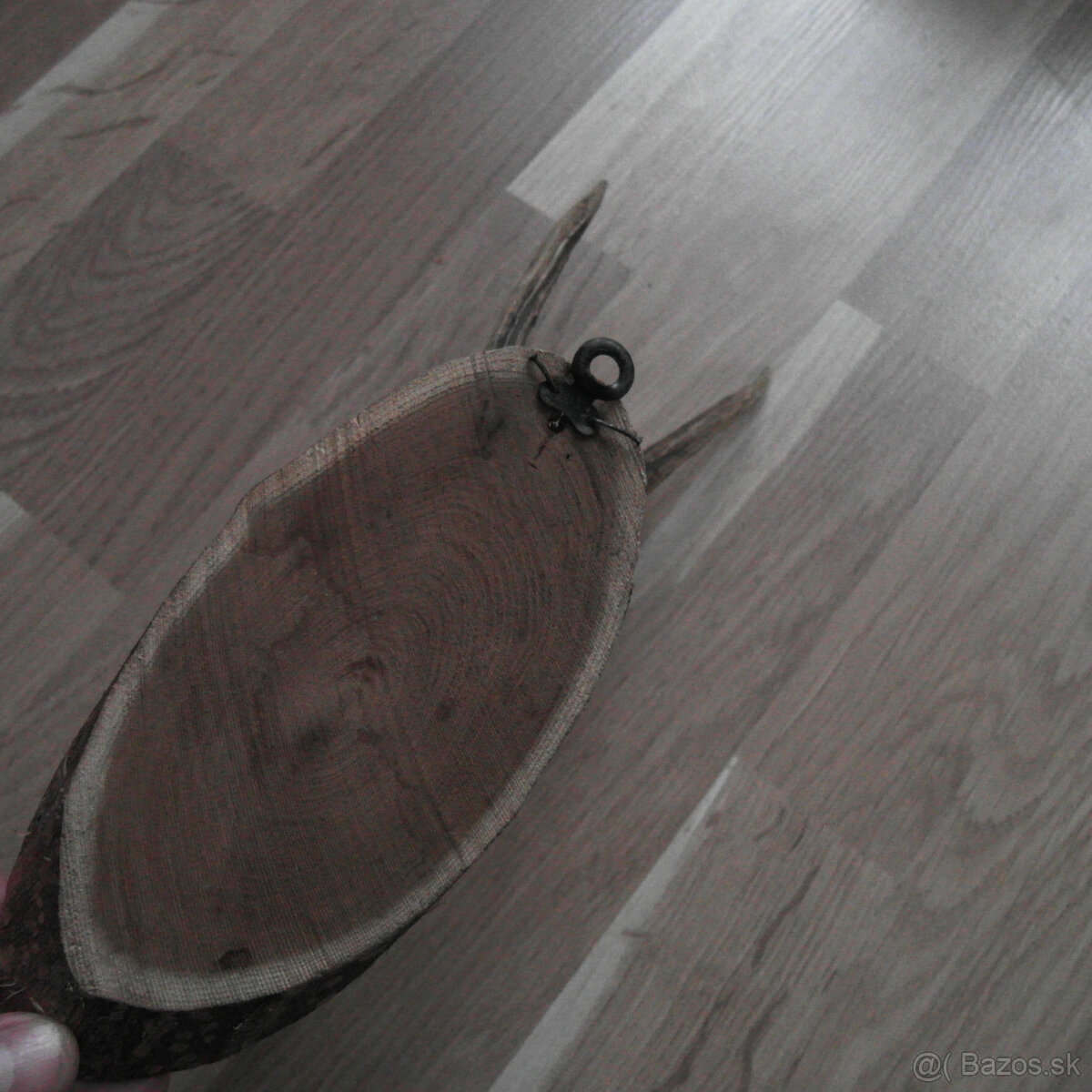 Parožie trofej jeleň lebka - 5