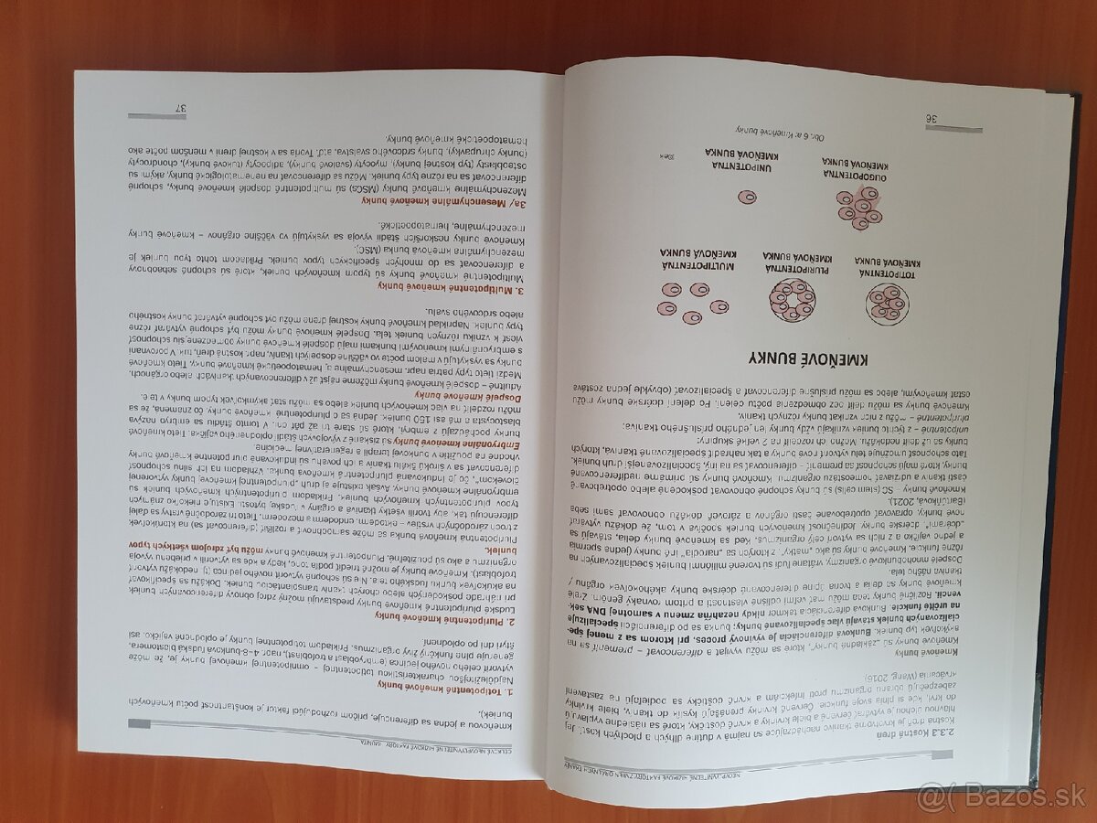 Parodontológia 6 - 5