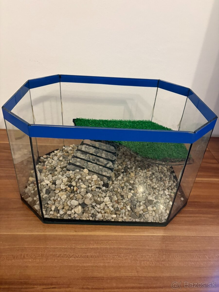 Terárium pre korytnačku - 5