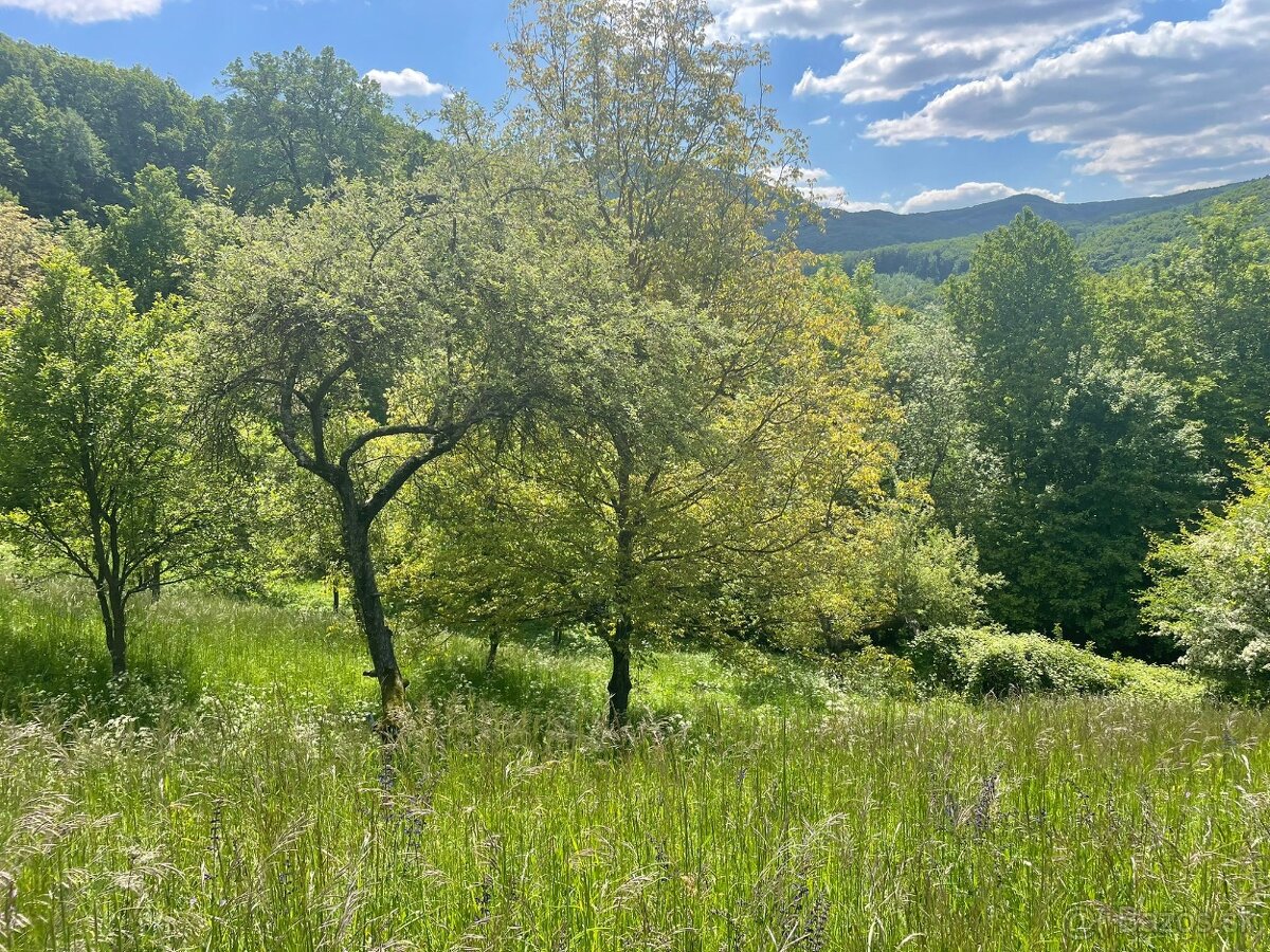 Pozemok vhodný na rekreáci v Trenčianskom kraji za obcou Dri - 5