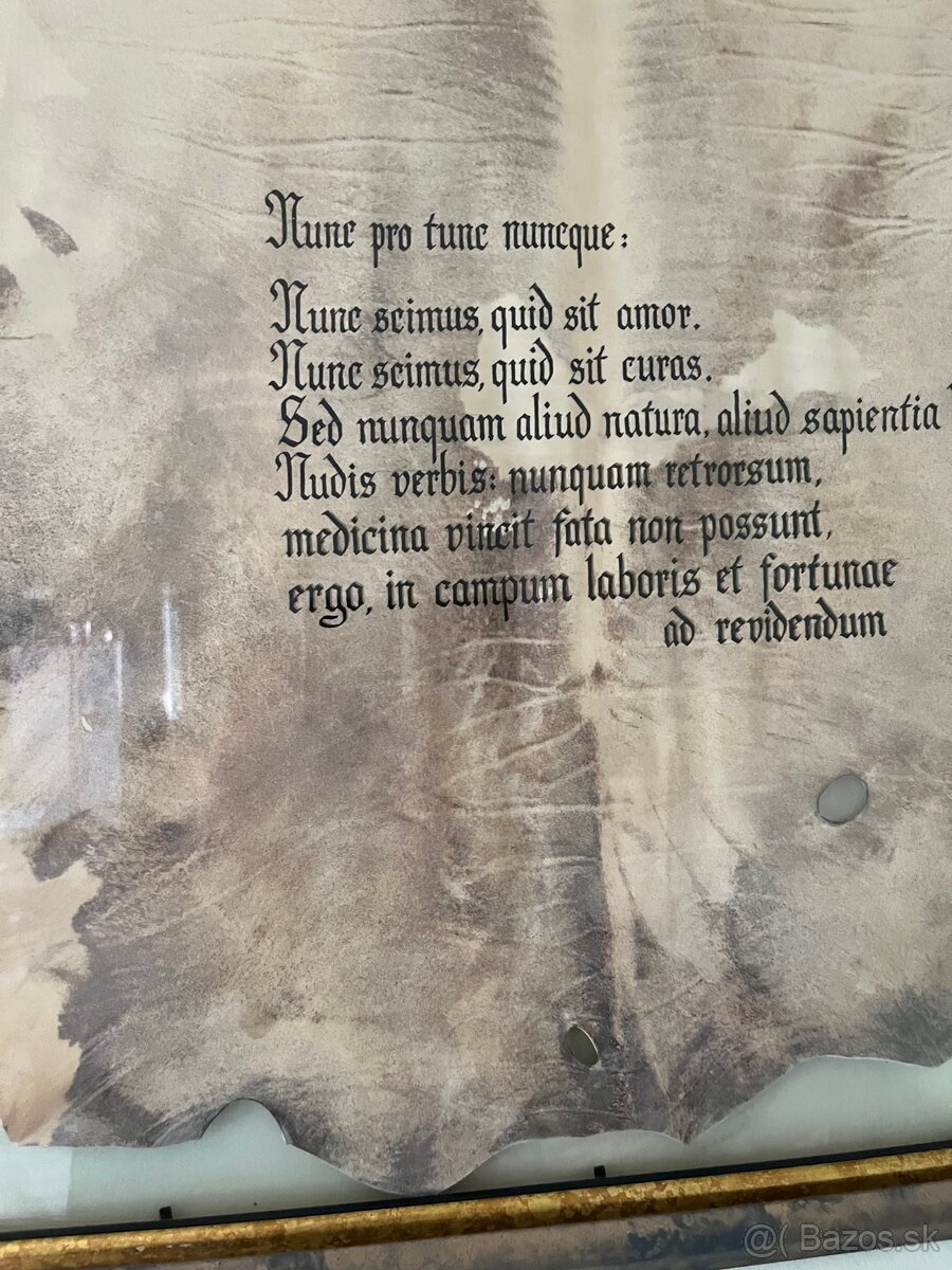 Obraz 83x57 latinský citát - 5