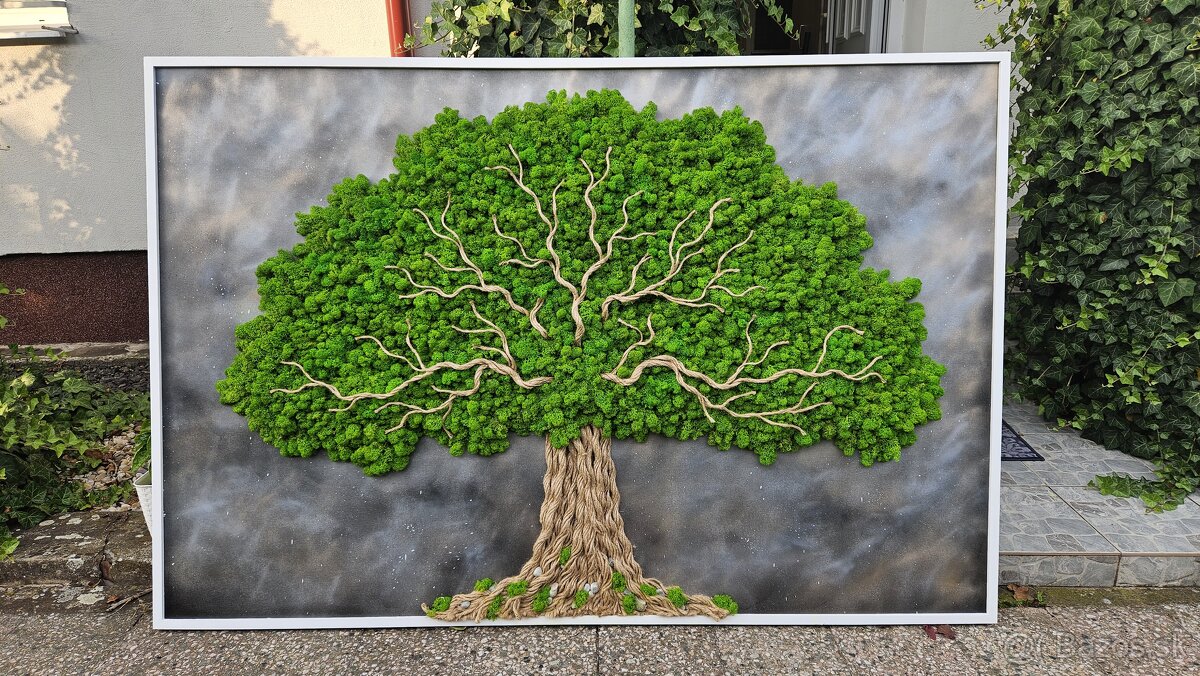 Machový obraz stromy - 5