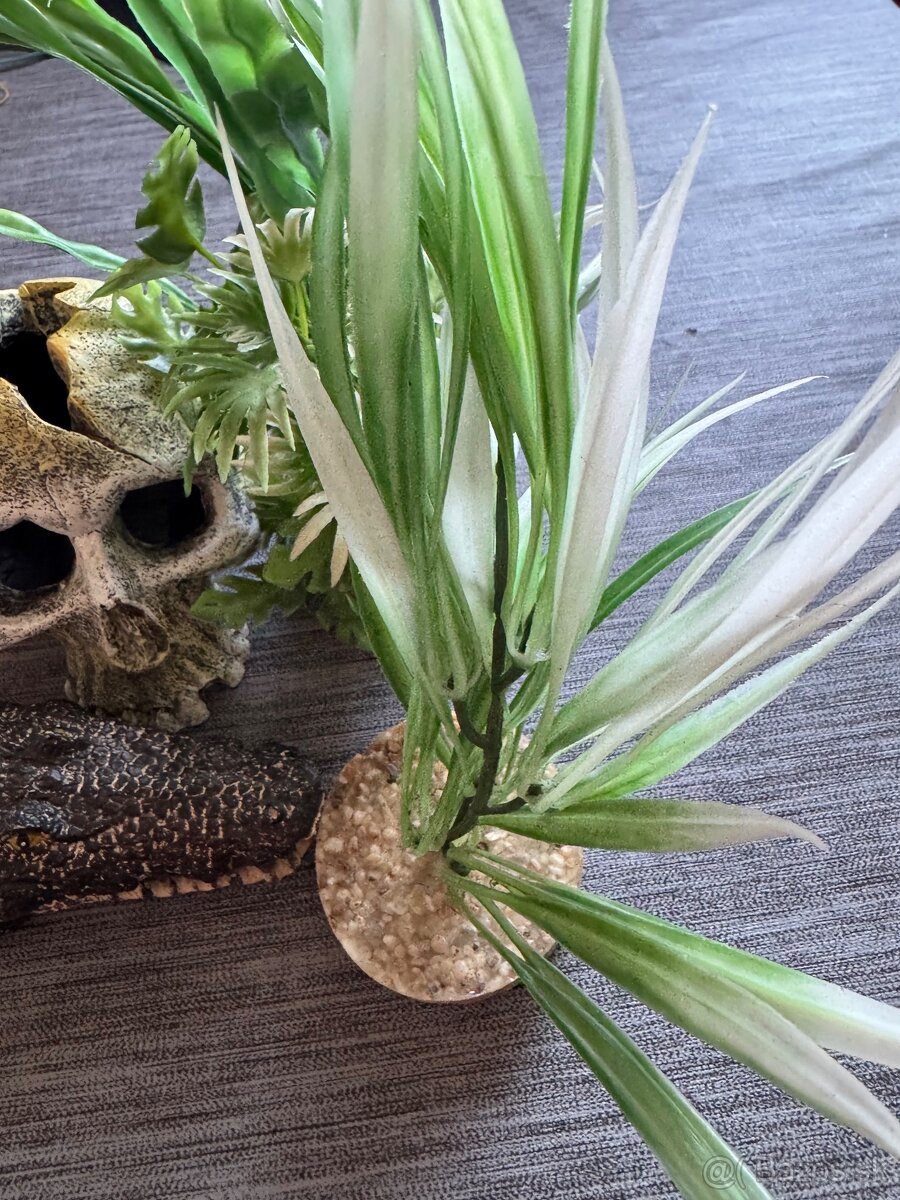 Nove Dekoracie do akvaria 18€ - 5