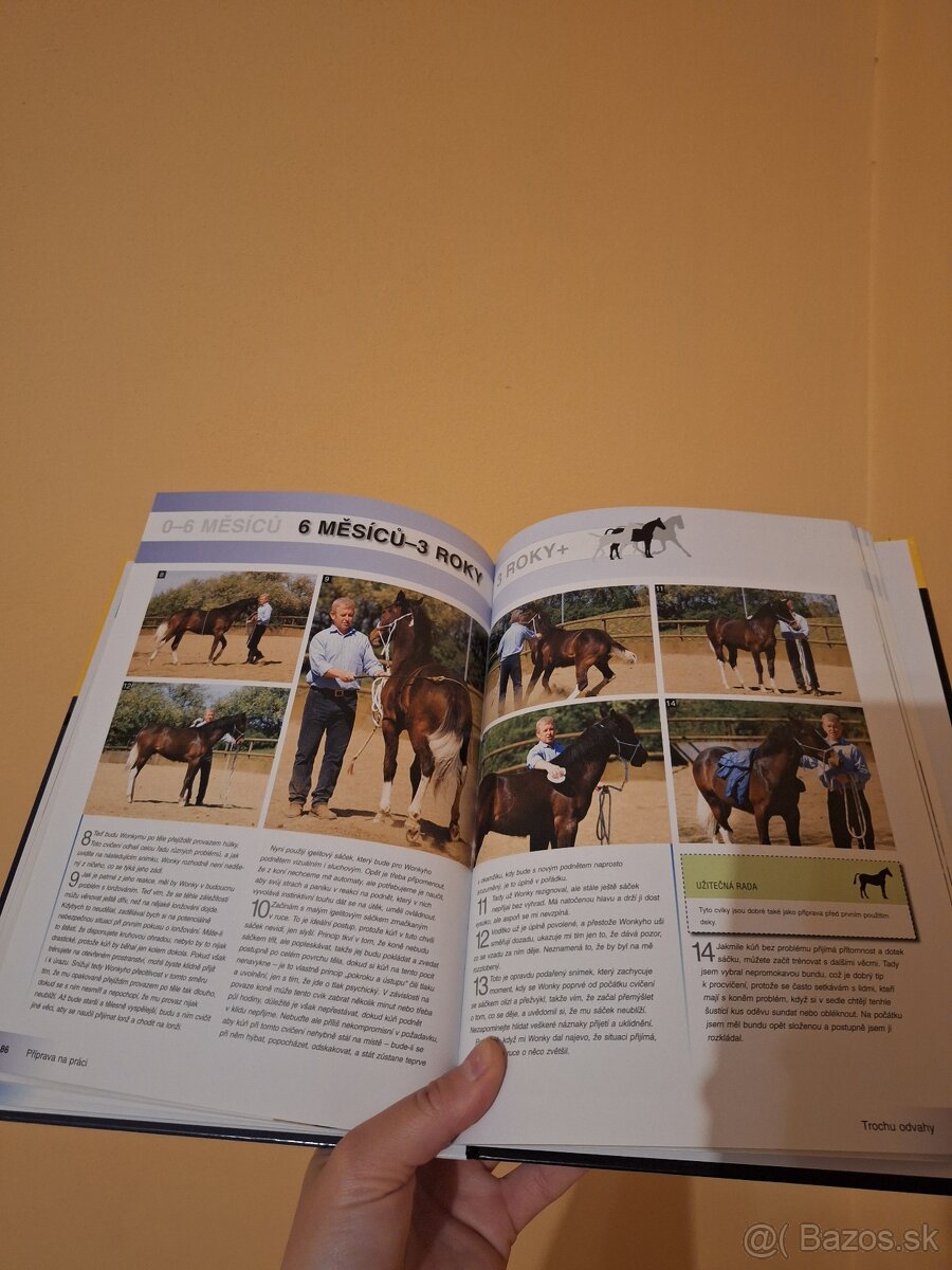 Výcvik mladeho kone - 5