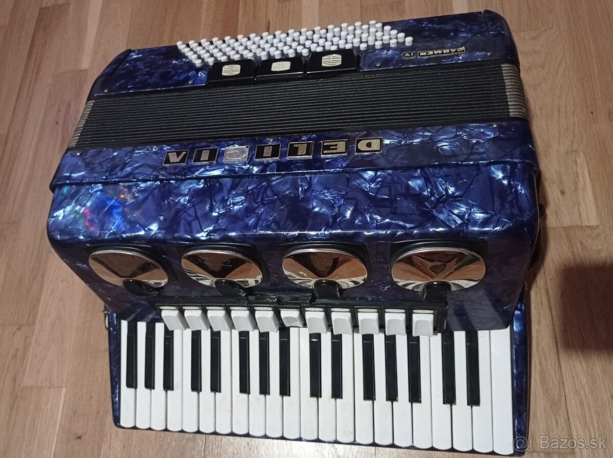 Akordeón Delicia CarmenIV - 5