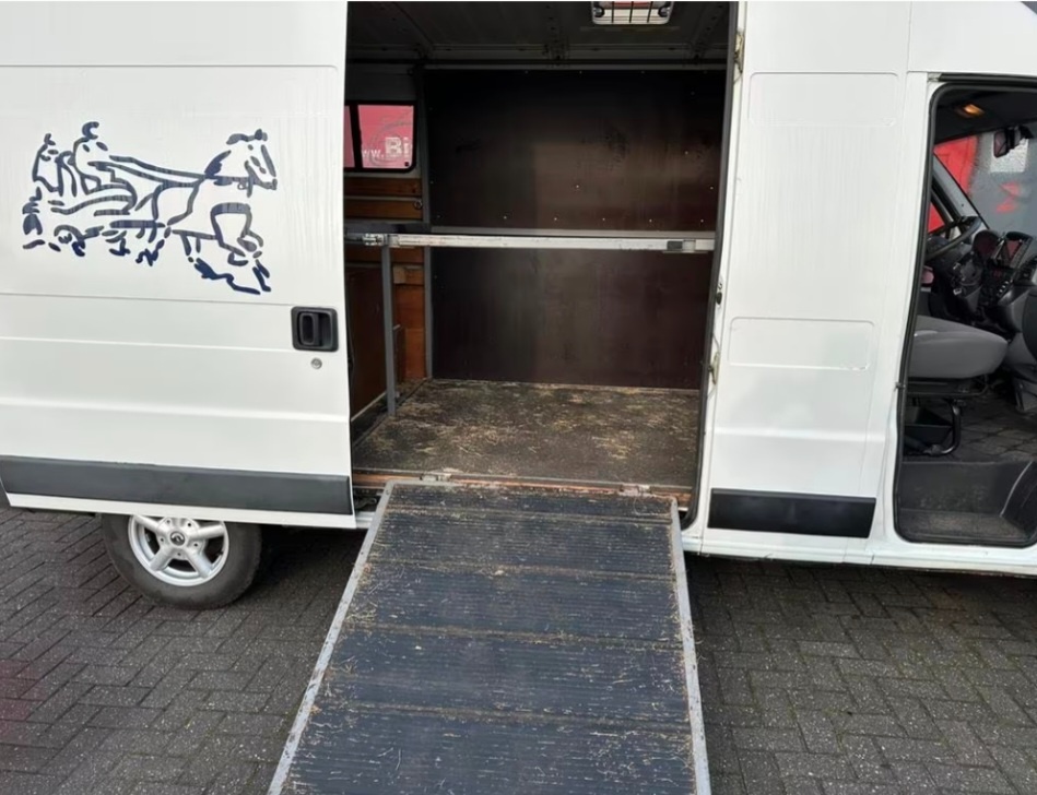 Auto na kone, konský prepravník - 5