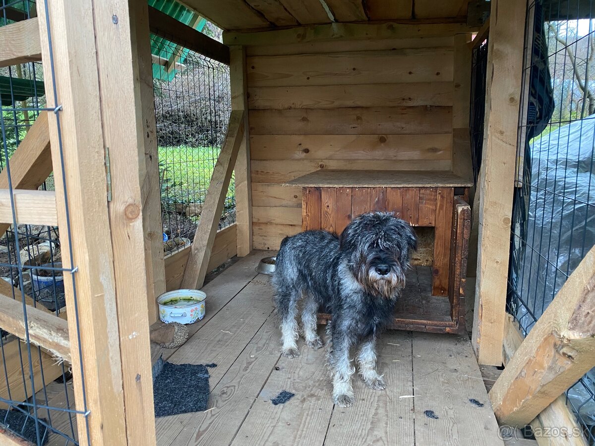 Stredný Bradáč - 5