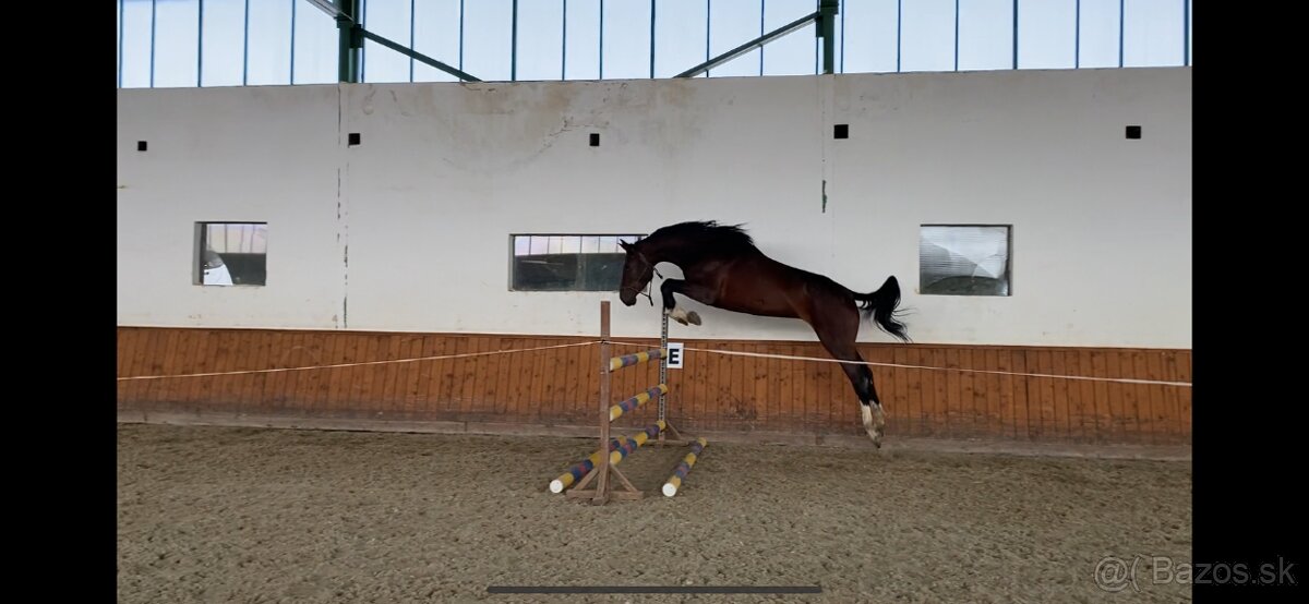 Kobyla - 5
