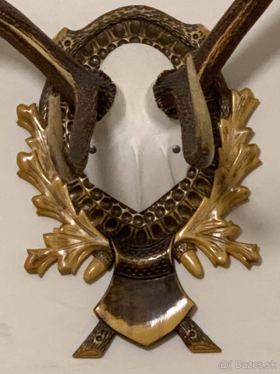 Jelenie Parožie - 5