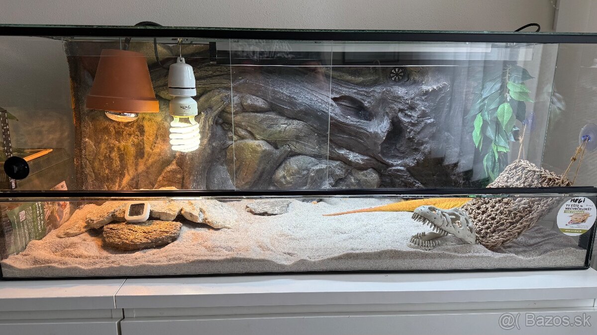 terarium pre agamu - 5