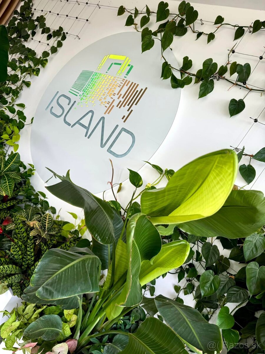 Krásny priestor s veľkou terasou - 5