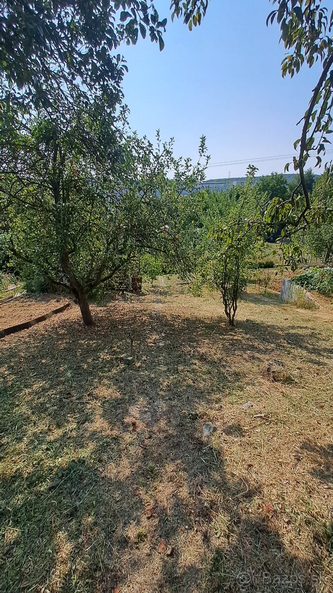 Záhrada s podpivničenou chatkou - 5