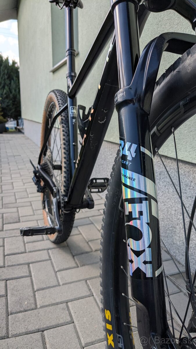 Marin Team 2 - L - 5