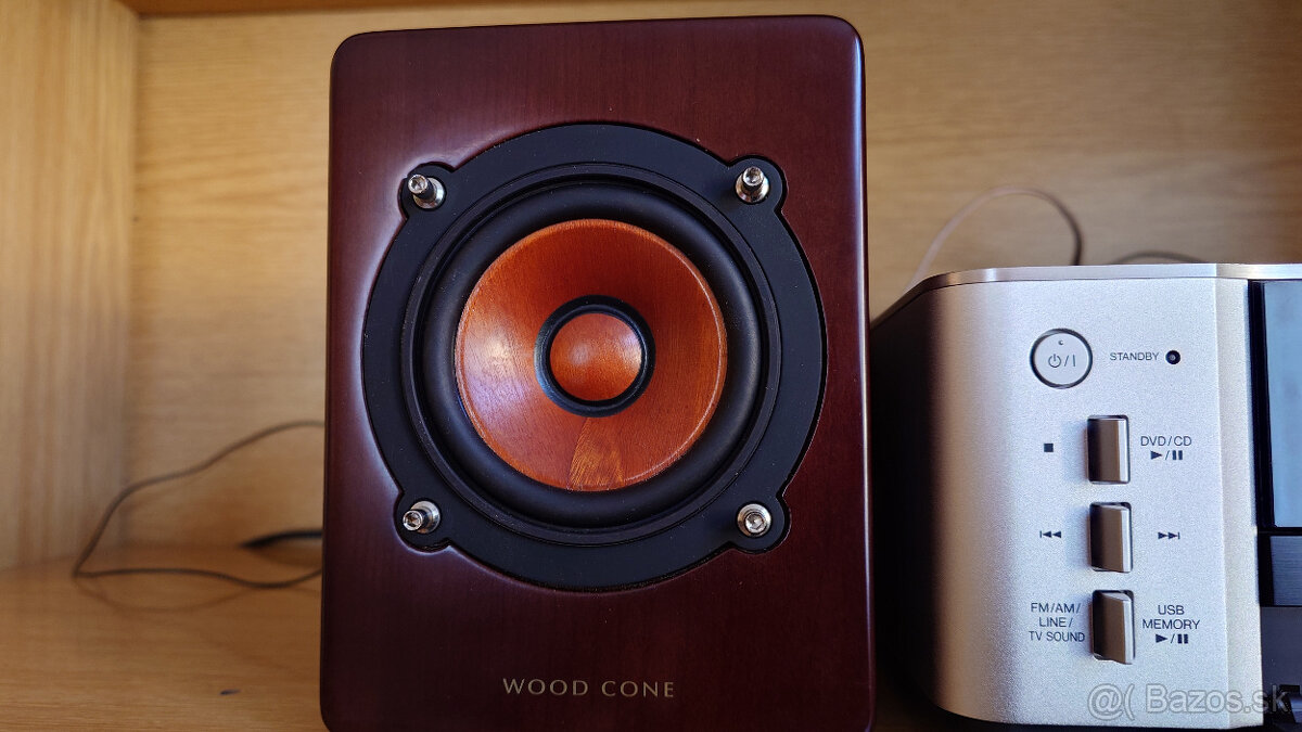 JVC EX A3 Wood cone - 5