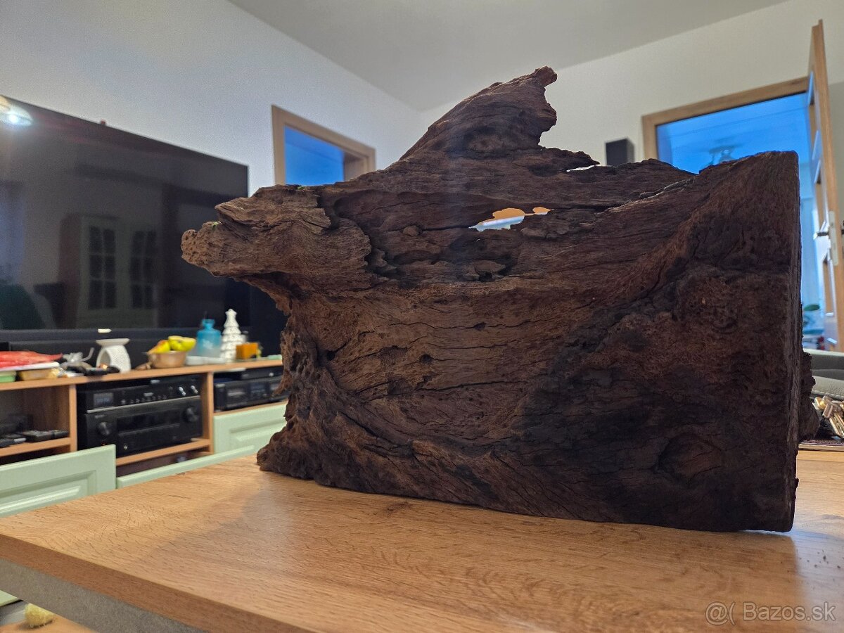 Koreň do akvária - 5