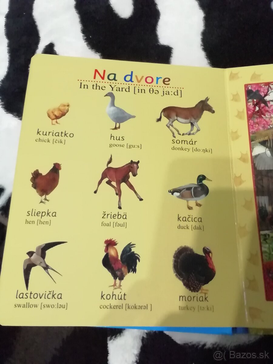 Kniha a pazzl v knihe. - 5