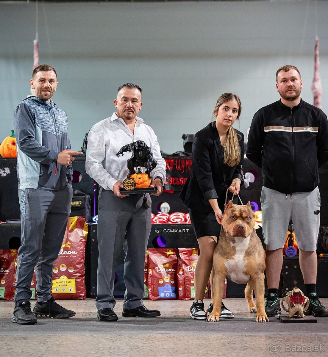 American bully XL XXL - 5