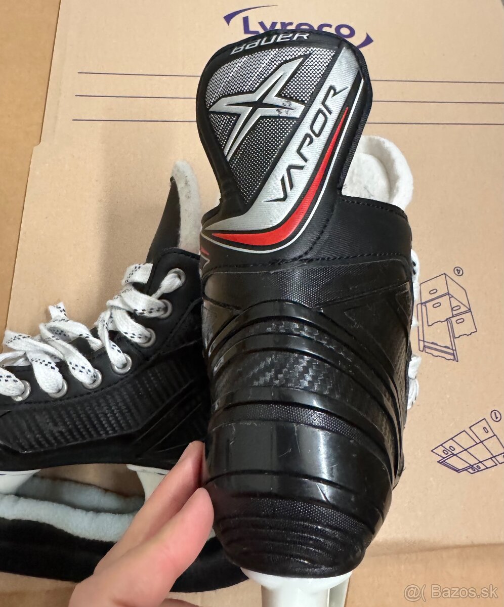 Korčule Bauer v.33,5 - 5