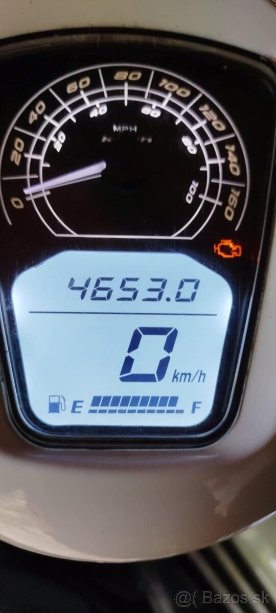 Longjia insetto 125 cm - 5