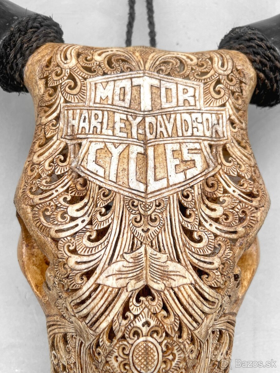 Ručne vyrezávaná lebka býka Harley Davidson, 54cm - 5