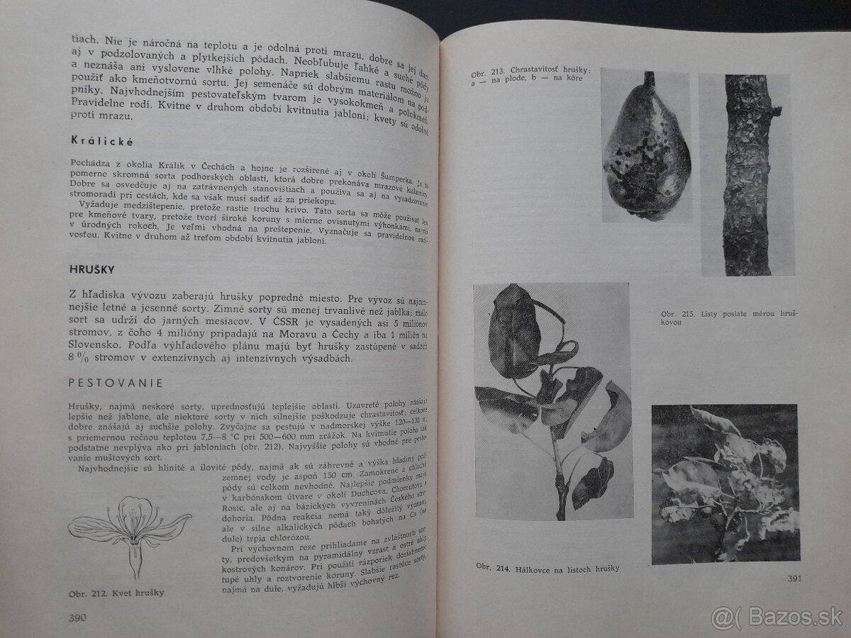 Ovocinárstvo - 5