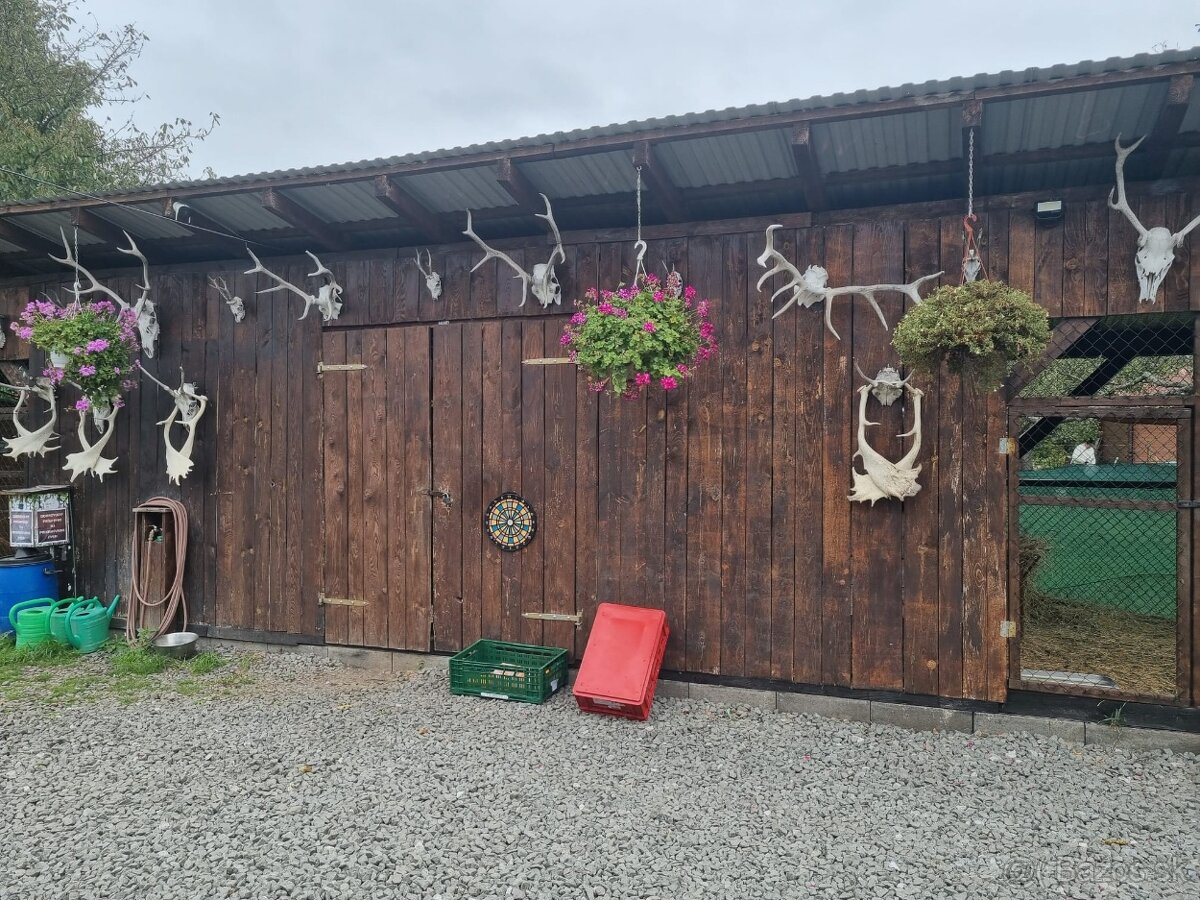 Voliery , klietky - 5