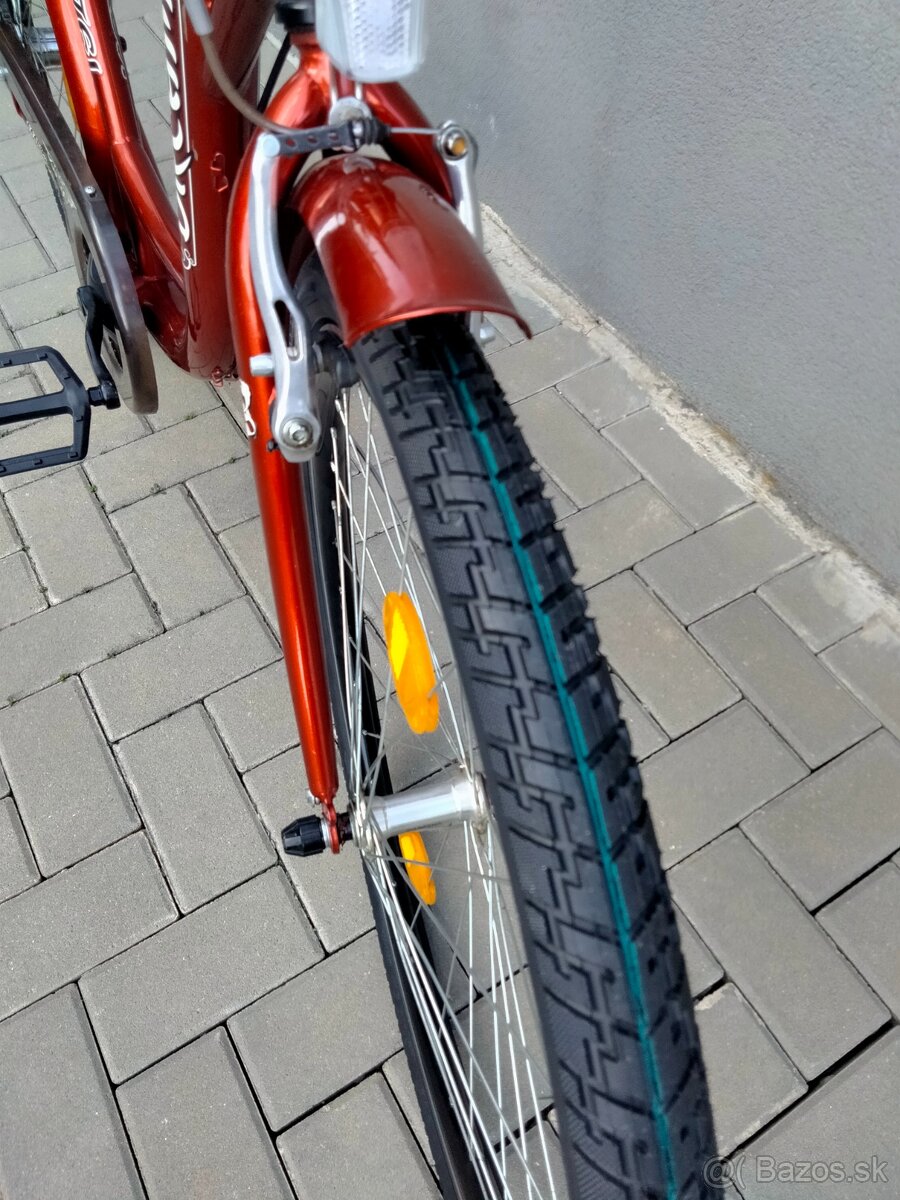 Kenzel Dream 1speed - 5