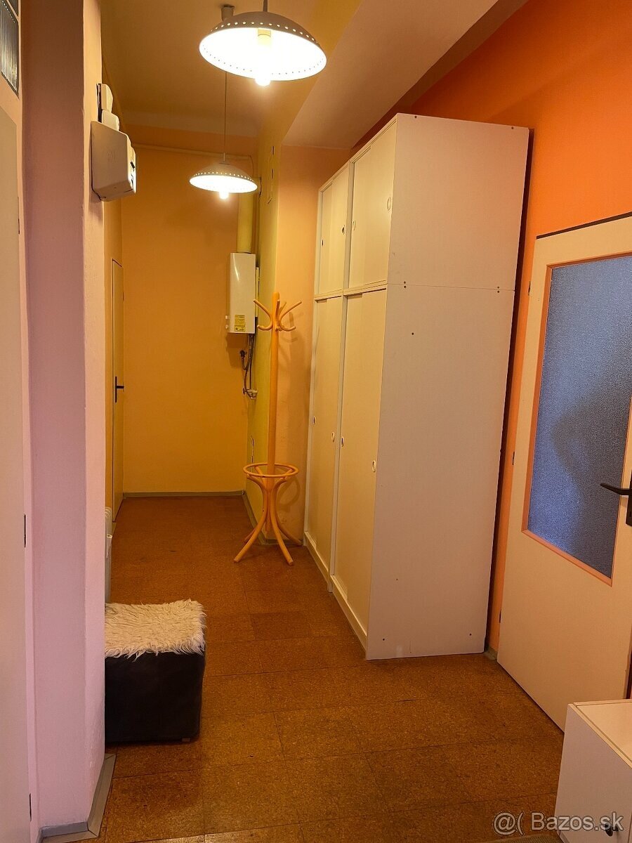 Prenajom velkeho 2 izboveho bytu - 5