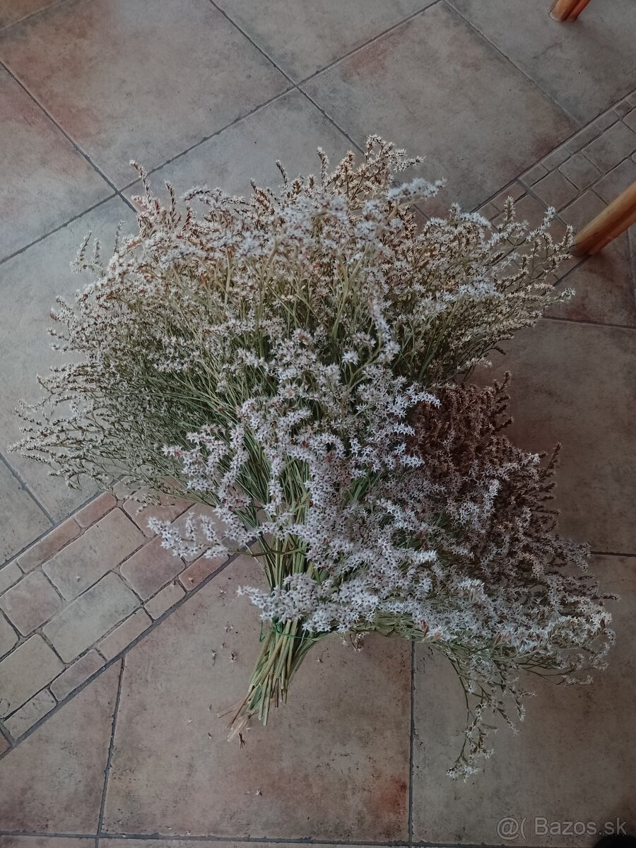 Sušena statica biela na vence 1kytica/8€ - 5