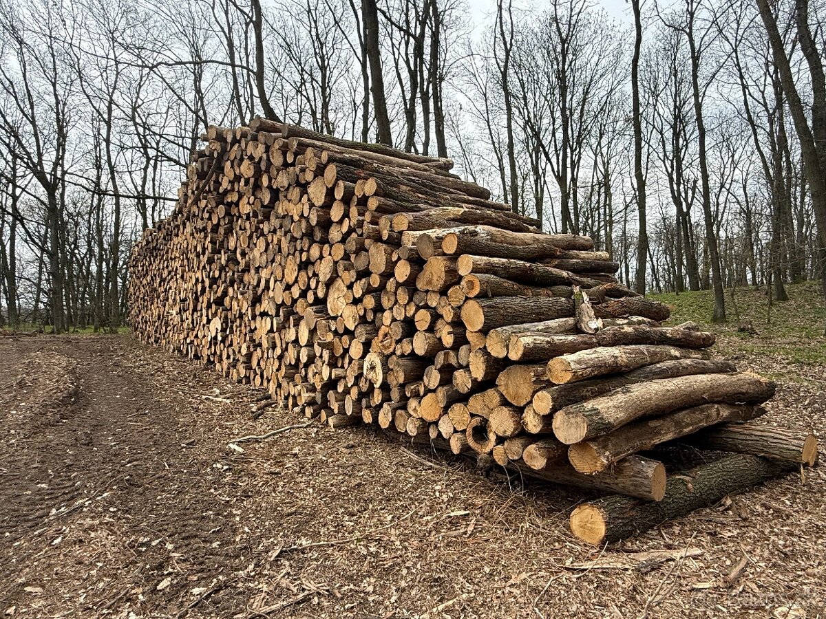 Palivové drevo Doprava ZADARMO do 20km - 5