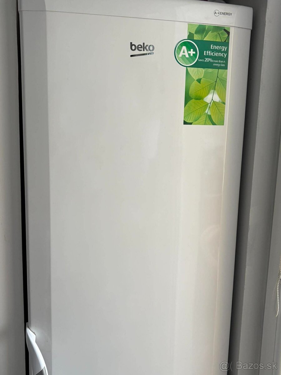 Chladnička s mrazničkou BEKO - 5
