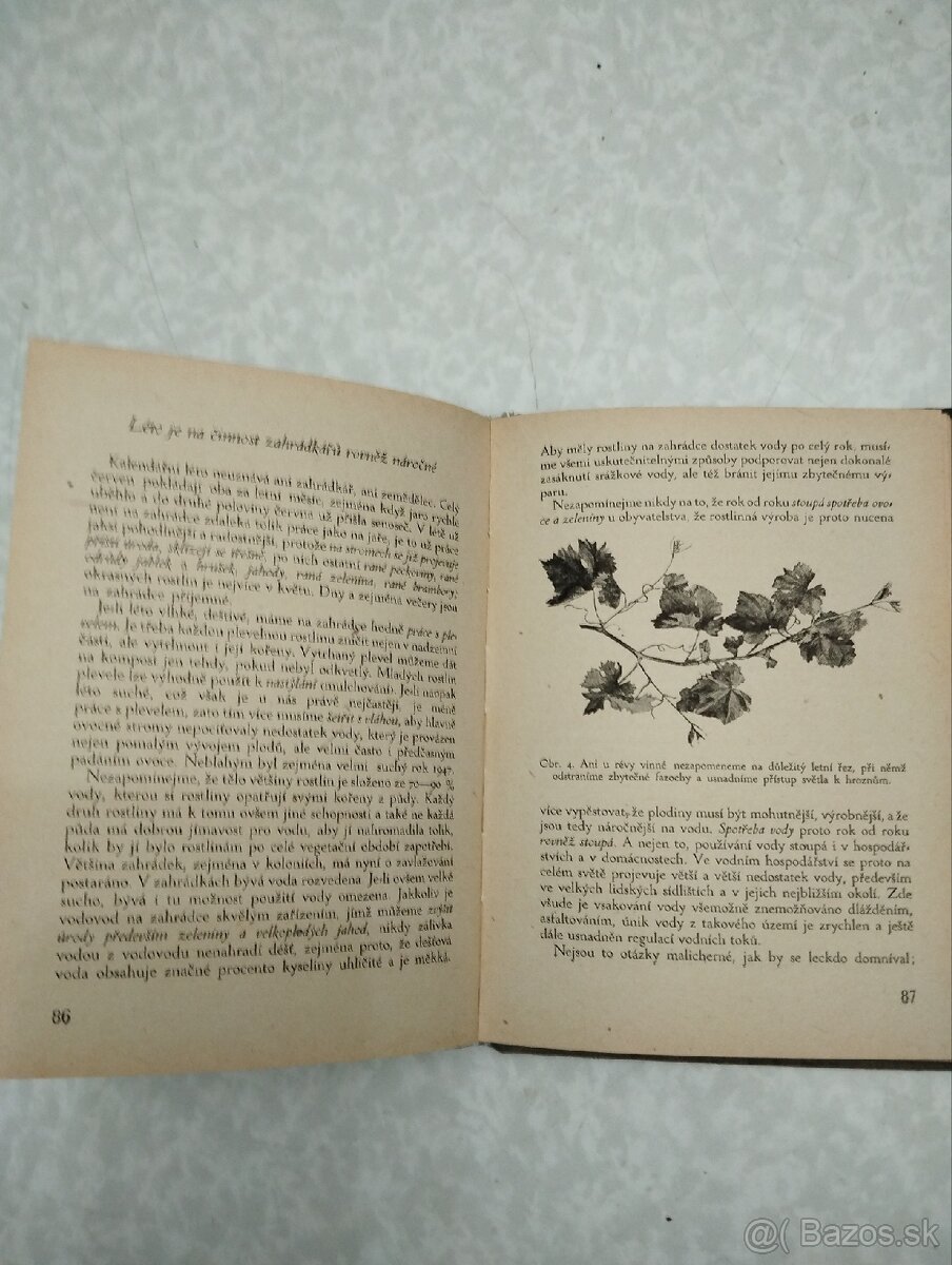 Zahrádkářův rok - 5