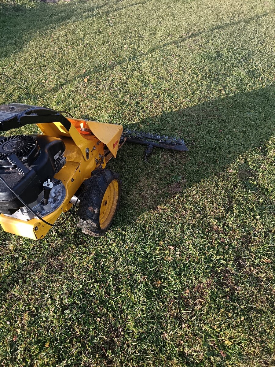 Kosačka lištova zimná cena 👍 - 5