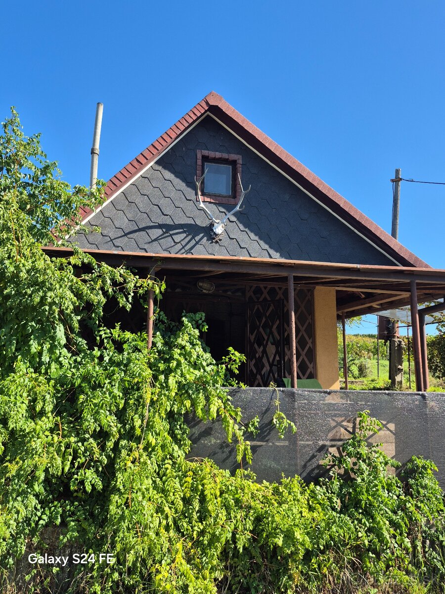 Pivničná chata v známej vinohradníckej oblasti - 5