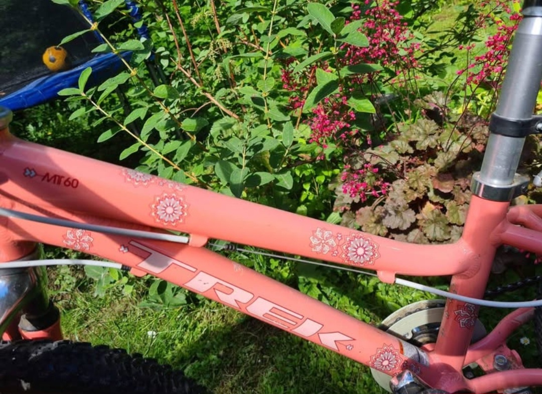 Dievčenský bicykel TREK 20" - 5