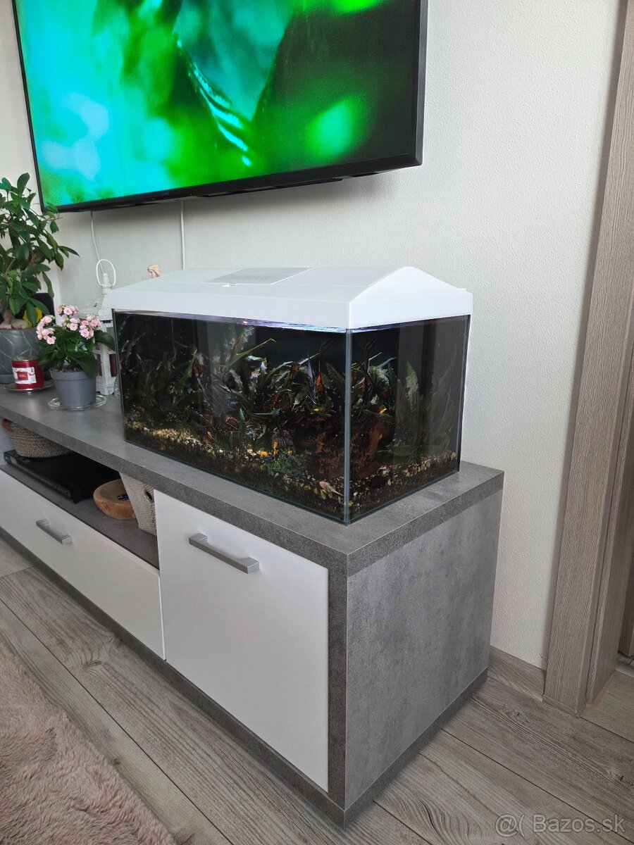 Predám akvárium aj s rybickami - 5