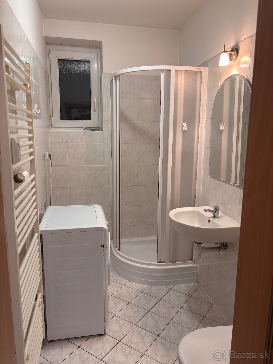 1 izbový byt na prenájom - 5