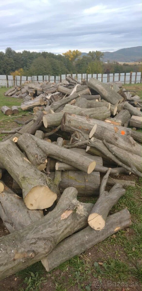 Palivové drevo - 5
