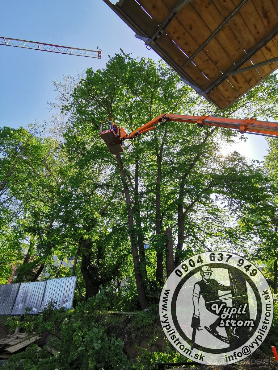 Pilenie a orezavanie stromov, kosenie a udrzba zahrad - 5