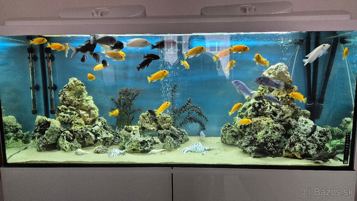 450l akvárium - 5