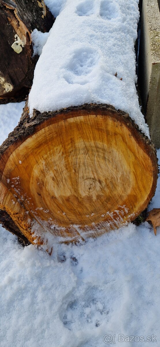 Čerešňove drevo - 5