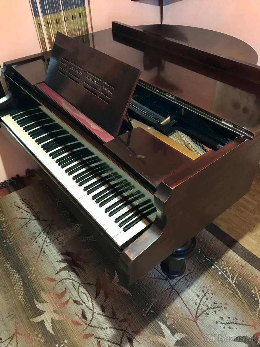 Klavírne krídlo - 5